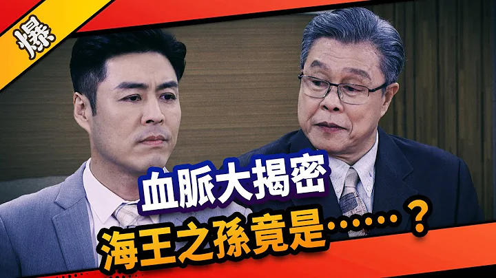 《八點檔搶先爆》市井豪門 EP210 血脈大揭密  海王之孫竟是……？ - 天天要聞