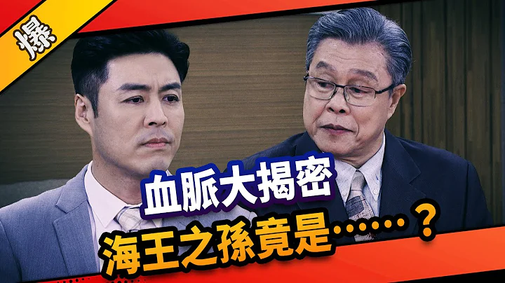 《八点档抢先爆》市井豪门 EP210 血脉大揭密  海王之孙竟是……？ - 天天要闻