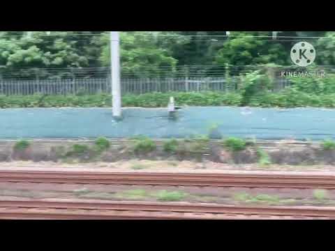 湘南新宿ラインE231系1000番台VS 山手線E235系0番台　並走バトル　（代々木〜原宿（渋谷到着前））