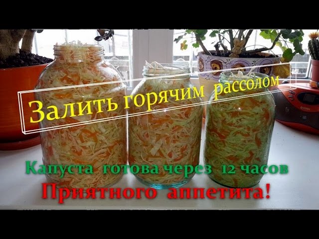 Быстрая засолка капусты горячим способом с маслом.