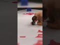 Fedor Emelianenko DESTROYS the UFC champions Andrei Arlovski and Tim Sylvia