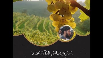 ما تيسر من سورة الأحقاف بمقام الصبا للقارئ محمد قاسم