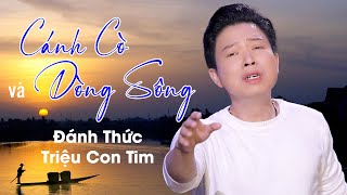 Ca Cổ Quê Hương Hay Số 1 Đánh Thức Triệu Con Tim ❤️ Tân Cổ Cánh Cò Và Dòng Sông - Thanh Nhường