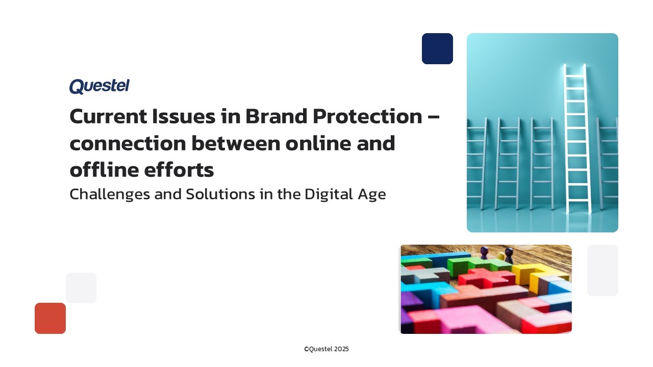 Current Issues in Brand Protection – Bridging Online & Offline Strategies