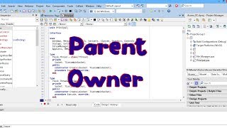 45 - Parent/Owner