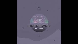 UnknownS - GamGam ( Original Mix ) [Progressive House /Melodic Techno] Resimi