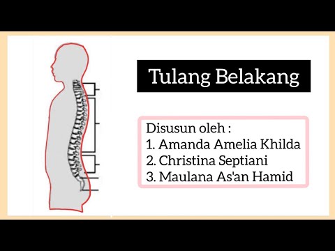 Video: Bagaimana Mengembangkan Tulang Belakang Anda