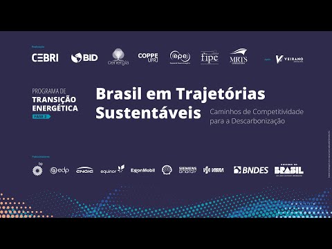 Brasil em Trajetórias Sustentáveis: Caminhos de Competitividade para a Descarbonização