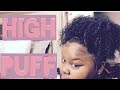 Quick n&#39; Easy High Puff for Natural Hair l GiCurls