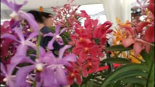 ALL About Flowers! @putra jaya Malaysia!