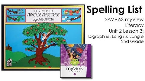 SAVVAS MyView Literacy Spelling Unit 2 Lesson 3 - 2nd Grade