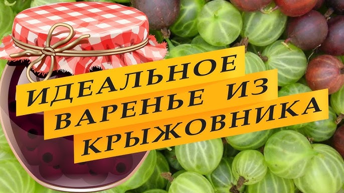 Как приготовить «живое» варенье из крыжовника с апельсином на зиму – «Еда»