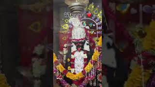 Jai mata di #matarani #shyam #manjari #love #mataraniarti #mataji #song #kalimurti #live