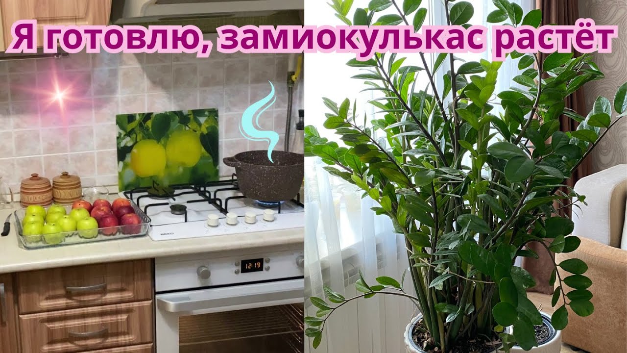 🌿 Огромный замиокулькас 🍎 Печёные яблоки 🧁 Выпечка к чаю.