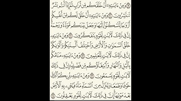 ما تيسر من سوره الروم القارئ الشيخ انس عبد الرحمن