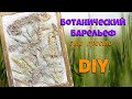 Как сделать своими руками ботанический барельеф. DIY. Картина из цветов идея для творчества.