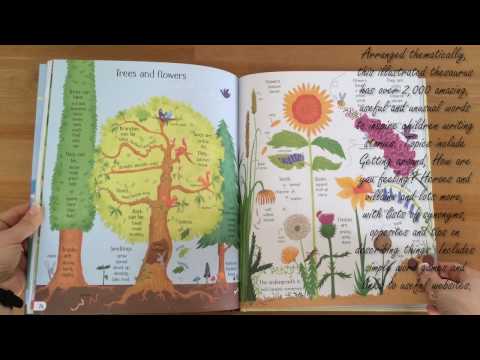 Big picture thesaurus - Usborne