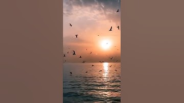 واتقوا يوماً ترجعون فيه الى الله ( سورة البقرة)