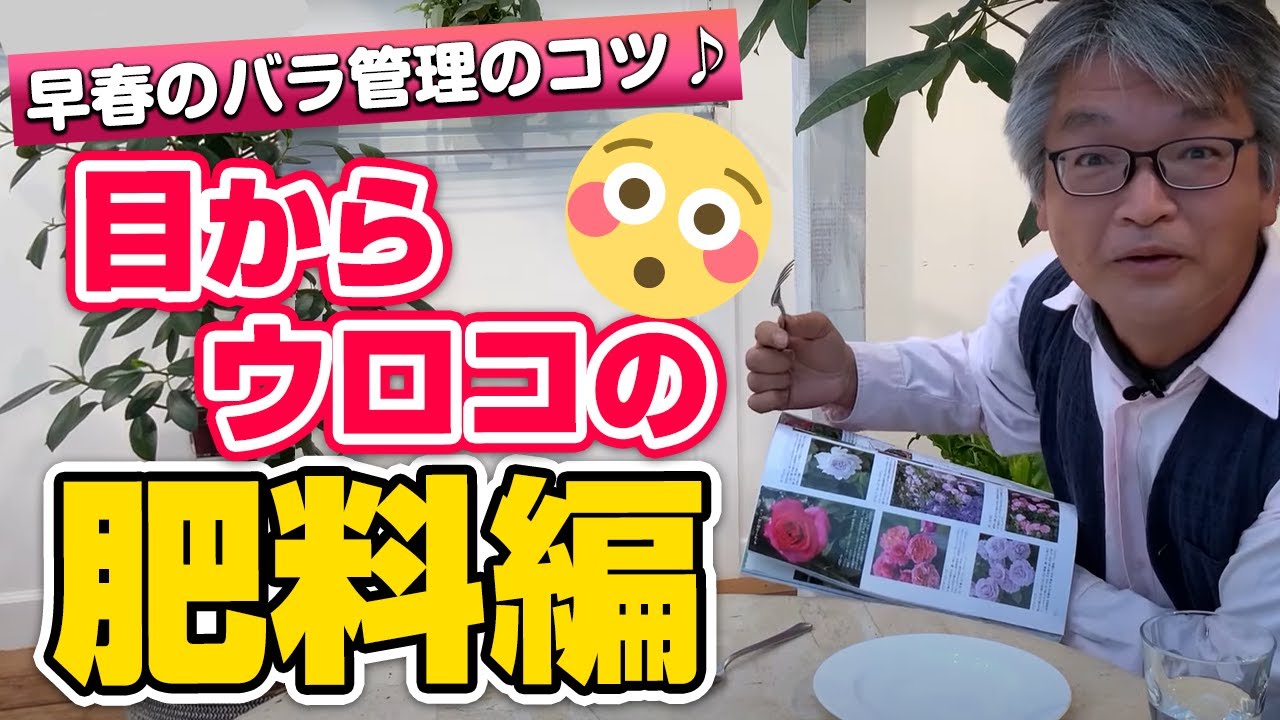 【バラの育て方】早春のバラ管理のコツ♪肥料編（2021年3月19日）