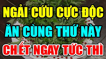 BS Cảnh Báo: CẤM ĂN RAU NGẢI CỨU Theo Cách NGU NGỐC Này Kẻo RƯỚC UNG THƯ, Có Ngày CHẾTT ĐỘT TỬ