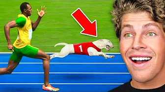 World's Fastest Man VS Fastest Dog!