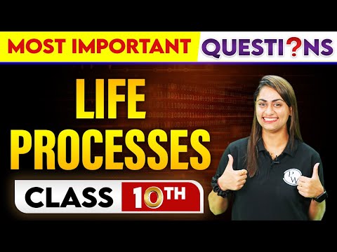 LIFE PROCESSES Most Important Questions Class 10th
