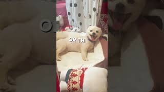 From The Mind of Bugg~ “I’ve mastered the art of the dramatic flop