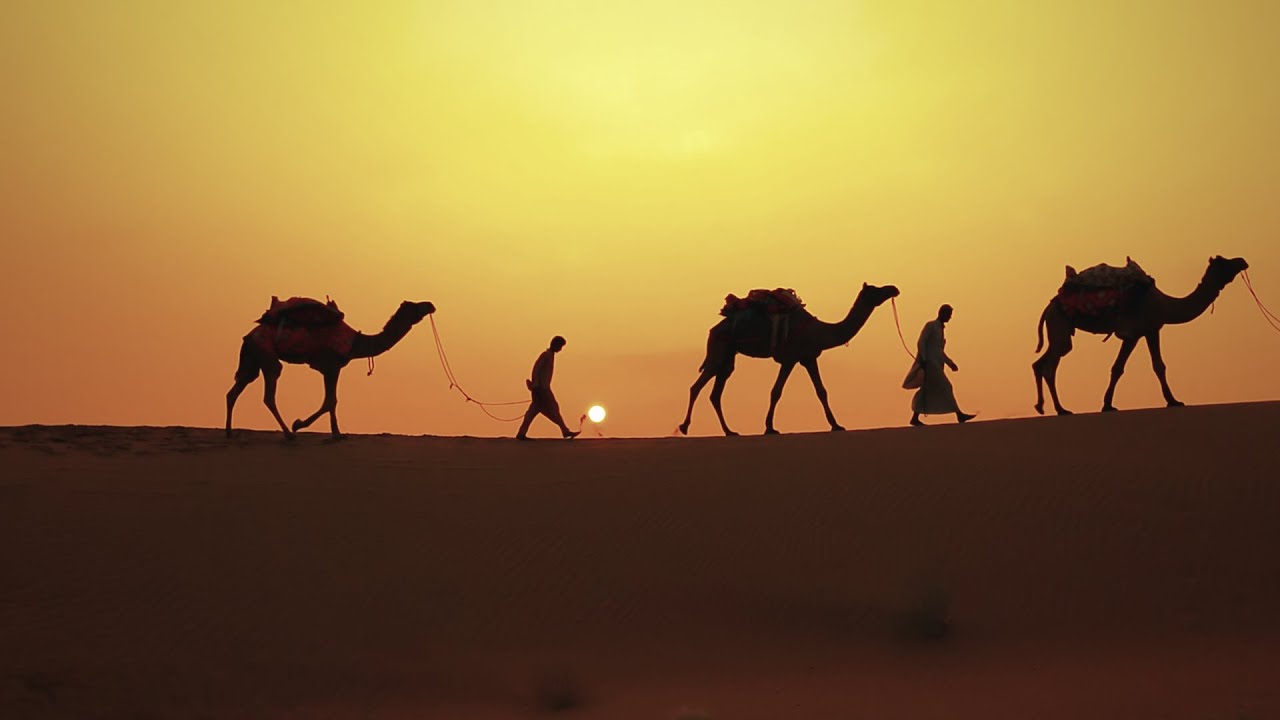 Camanex - Migal Cannabis Science