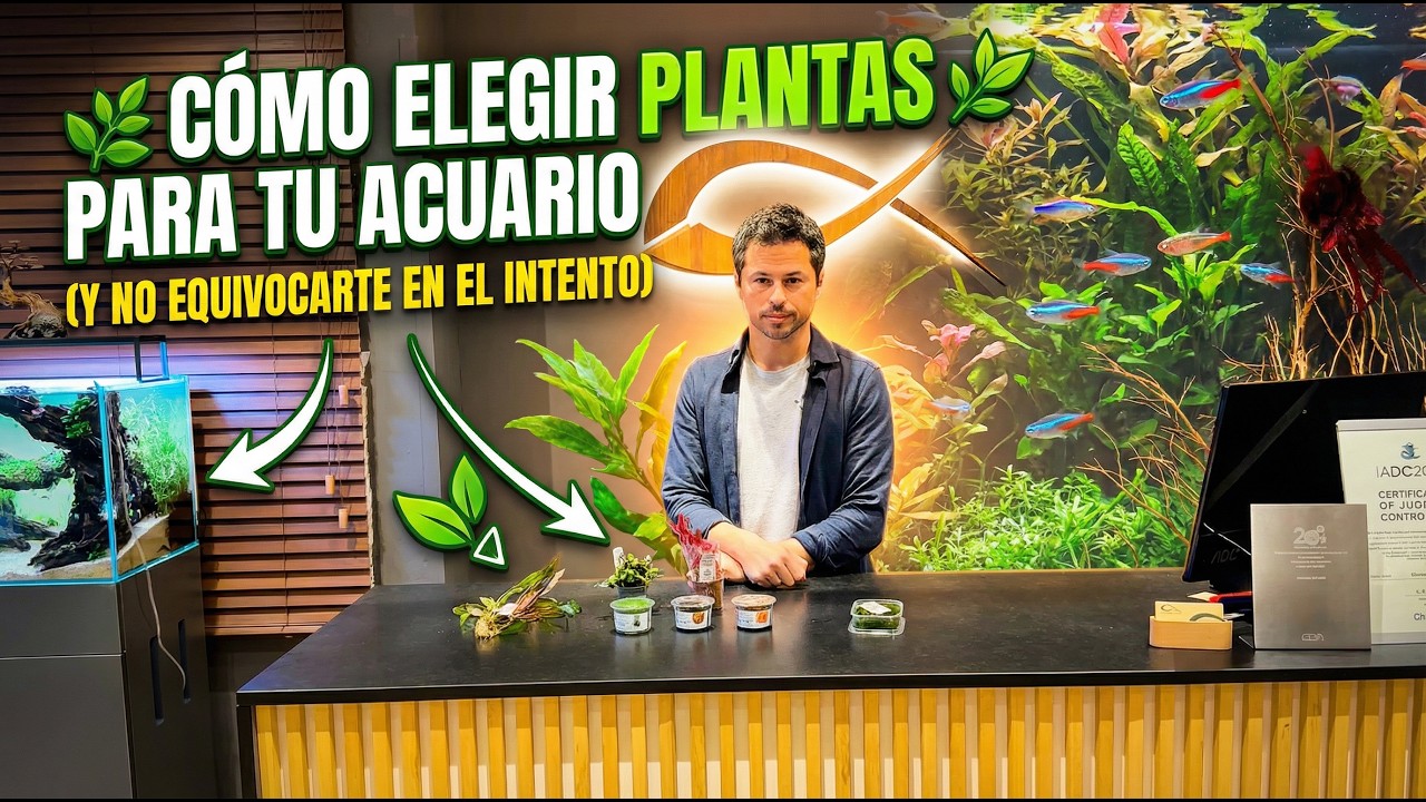 🌿 Cómo elegir plantas para tu acuario (Y no equivocarte en el intento) | PezVerde