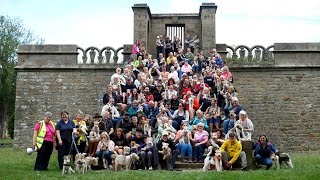 National Fox Terrier Meet, Chatsworth House, Derbyshire,  2nd July 2023 by James Anderson 604 views 10 months ago 4 minutes, 19 seconds