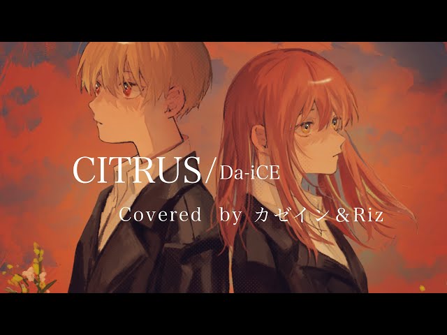 邦楽 citrus / sings in melodydecorder sddefault.jpg?v=622310f1