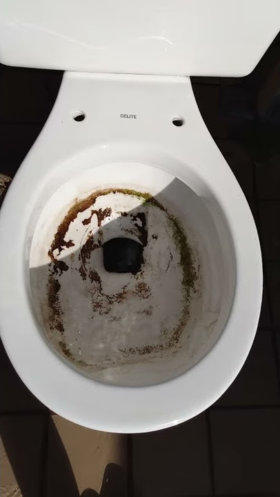 My 1985 Celite toilet's first flush