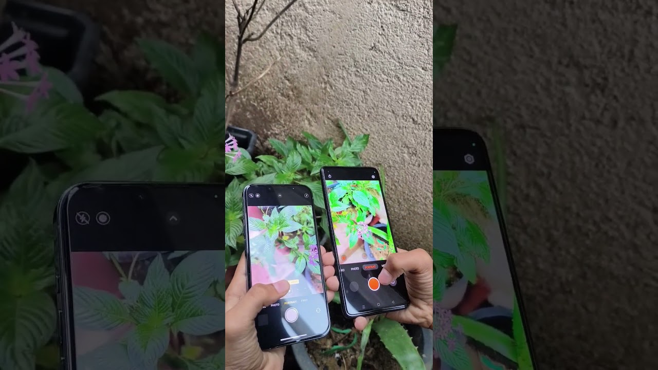 iPhone 13 pro 👌🏻 vs OnePlus 9 💯 camera test