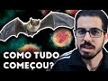 A ORIGEM DO CORONAVÍRUS: Como tudo começou? [Uma hipótese]