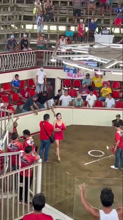 Rooster Fight in Cuenca Batangas #zakirpchef #janshoney #shorts #philippines #rooster