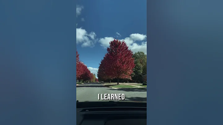 Grateful Hearts: Embrace the Power of Appreciation. Join the Journey!