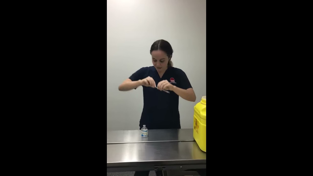 Loading a syringe from a multi-dose Vial (ACMVET406A)