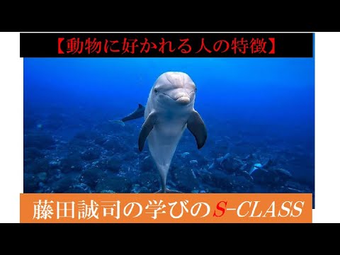 【動物に好かれる人の特徴】 - YouTube