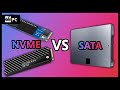 WD_BLACK SN750 & Blue SN550 1TB M.2 NVMe vs SATA SSD Benchmark | WePC