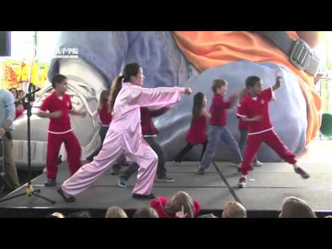 2013孔子学院网络春晚——武术表演《五步拳》.mp4