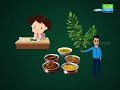 Info guru benefits of curry leaves      saral jeevan