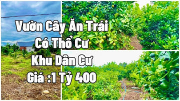 Cầm Cự Hết Nổi ! A Trung Buộc Phải Bán Đất Vườn Cây Ăn Trái 1.417m2 Có Thổ Cư Giá Rẻ Bèo (Đã Bán)