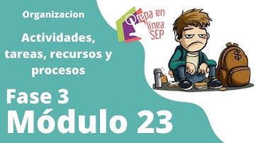 Fase 3 Módulo 23. Organización: Actividades, tareas, recursos y procesos.