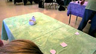 Chicken Camp 09.2008 with Bob Bailey - color discrimination exam.MOV
