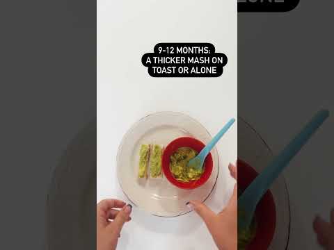 Baby Led Weaning: