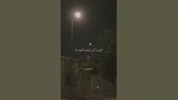 #اكسبلور #art #quran #ماهر_المعيقلي #قرآن #foryou #viral #القرآن_الكريم #قرآن_كريم #سورة_لقمان