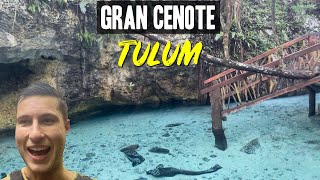 Tulum's Gran Cenote is THE MOST Popular Cenote in ALL of Tulum, Mexico screenshot 2
