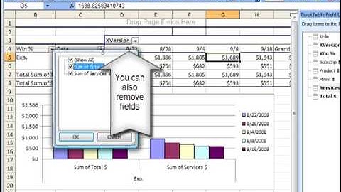 Xcelential Pivot Table