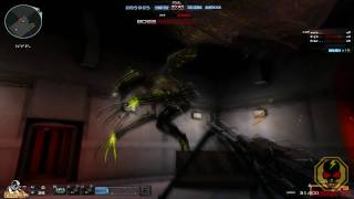 Chinese CrossFire - Chaos the Pterosaur! [Nightmare]