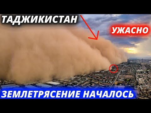 Видео: Тэд яагаад Москвад плитагаас татгалзсан бэ?